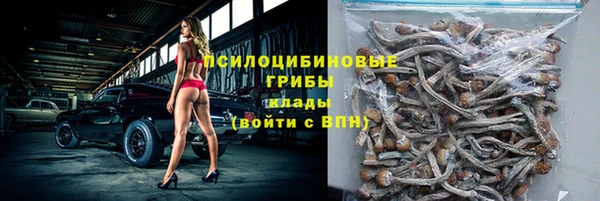 спайс Вяземский