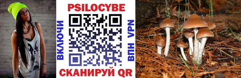 Псилоцибиновые грибы мицелий  Купить закладки  Красновишерск 